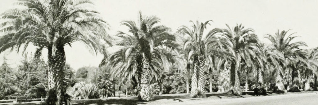 Beverly Hills