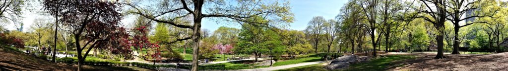 Central Park New York