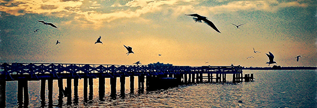 Miami Florida